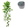 Rábano Verde Colgante de Pared Hoja de Uva Ratán Colgante de Pared Boda Techo Decoración de Interiores Enredadera Verde Plástico Hoja Verde Artificial Colgante de Pared