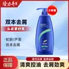 Shampoo Anticaspa Duplo 1L Refrescante Controle de Oleosidade para Homens e Mulheres Shampoo Universal Llq