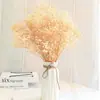 Flores de Caña Secas Ins Estilo Nórdico Flores Eternas Hierba de la Pampa Amazon Venta Caliente al por Mayor Ramo de Flores Estilo Ins Plantas