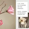 Magnolia Nórdica Rama Larga Flor Seca Ramo Grande De Pie Ramas Secas Naturales Flores Secas Hechas a Mano Gabinete de Entrada con Rejilla Abierta