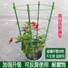Soporte para Flores para Trepar Enredaderas, Varilla de Soporte para Árbol del Dinero Epiphyllum, Marco Extensible de Pinza de Cangrejo para Trepar Orquídeas Buganvilias Ampliado y Fijo