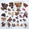 Fruta Fixa Natural Planta Fruta Casca Espécime Material Decoração Flores Secas Fatias Jardim de Infância DIY Pacote de Material de Natal