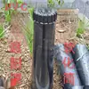 Tampa de Proteção de Plástico para Cebolinha e Alho, Tubo de Plantio para Cebolinha e Alho, Tampa de Proteção Universal para Cebolinha e Alho, Tampa de Proteção Redonda para Trigo