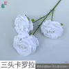 Flor de Rosa Lunar de Tres Cabezas Rama Única Rosa Arcoíris Mar de Flores Rincón de Check-in de Celebridades de Internet Decoración de Paisajismo de Área Escénica Venta al por Mayor