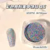 Venda Direta de Fábrica Pequena Fragrância Sonhadora Glitter Lantejoula Joias para Unhas Arco-Íris Colorido Pó de Lã Material para Unhas