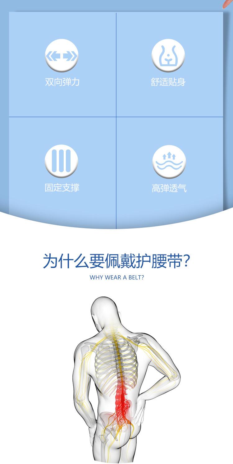 护腰第十一-1_03.jpg