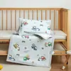 2026 Nuevo Modelo Clase A Funda de Almohada de Ratán Hielo para Niños Funda de Almohada para Jardín de Infancia Funda de Almohada para Niños Funda de Almohada Individual