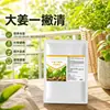 Da Jiang presenta su paquete exclusivo para mejorar el rendimiento del jengibre: crecimiento de hojas verdes, fortalecimiento de raíces, resistencia a enfermedades de trasplante y prevención del envejecimiento prematuro - un fertilizante específicamente diseñado para el jengibre