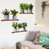ATW4067 plantas verdes creativas macetas pegatinas de pared sala de estar dormitorio pared de fondo pegatinas de pared decorativas pegatinas de pared autoadhesivas venta al por mayor