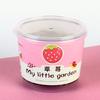 Xiaomeng Kidsren's Planting Pequenas Plantas em Vasos Jardim de Infância Hidropônico Bonsai Plantas de Mesa Mini DIY Planta Verde Brinquedos Barraca