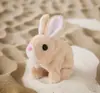 Cachorro de Brinquedo Elétrico Pelúcia para Crianças, Corgi Ursinho Realista que Anda e Late, Adequado para 1-3 Anos, Brinquedo Transfronteiriço