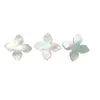 Nácar Blanco Natural Trébol de Cuatro Hojas Piedra Suelta Accesorios para Joyería Componentes para Joyería DIY Fábrica de Piedras Preciosas Accesorios Mayoristas Transfronterizos