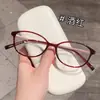 Nuevas Gafas Ovaladas Nerd de Armazón Grande de Moda de Danyang Wholesale para Mujer con un Toque de Alta Gama, Realzando la Piel Clara, Disponibles con Graduación