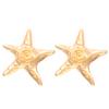 Pendientes Anillo Collar Cruzados Europeos y Americanos de Estrella de Mar Espiral Traje Estilo Ins Sentido Avanzado Joyería Estilo Vacaciones Oceánicas