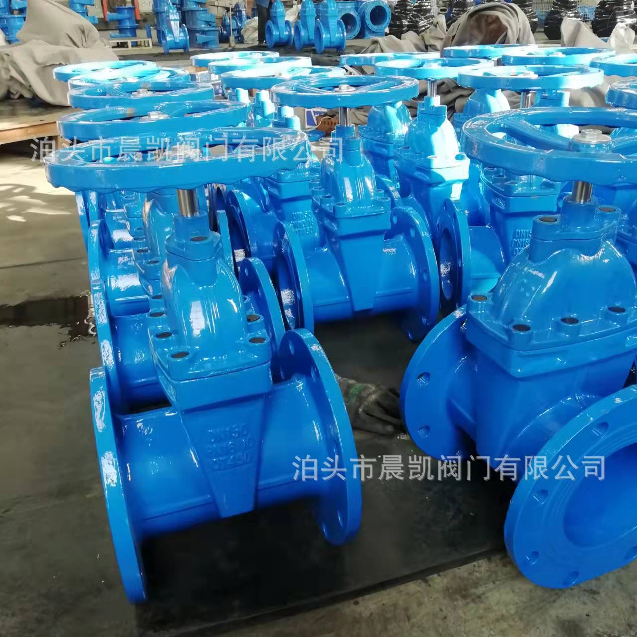 O1CN01fhqrgV2GPG6oGqr0E_!!4134