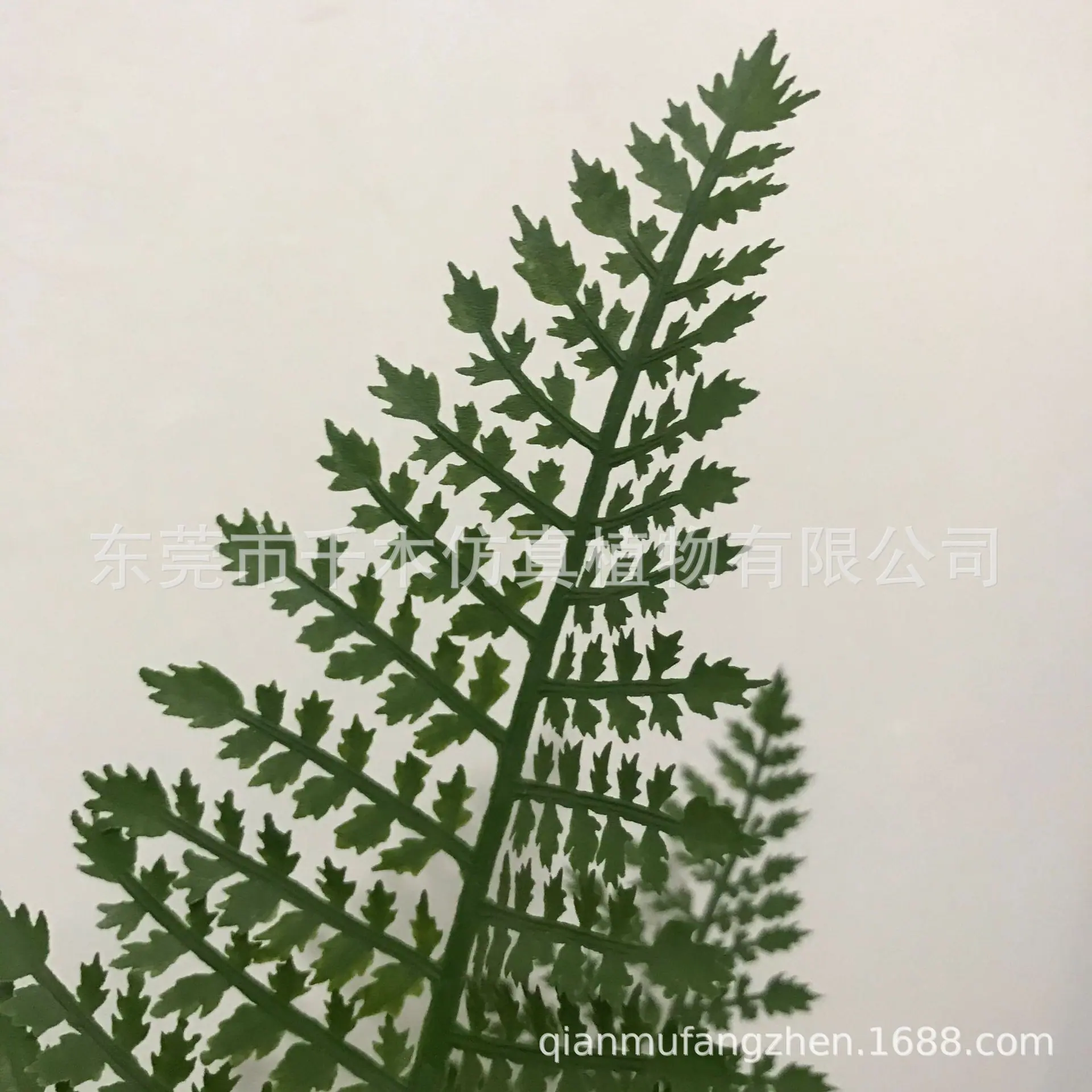 微信图片_20210515163912