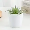 Planta Suculenta en Maceta de Pulpa Flocada, Maceta Decorativa para el Hogar y el Escritorio, Adornos Florales para Oficina, Plantas de Pulpa Transfronterizas