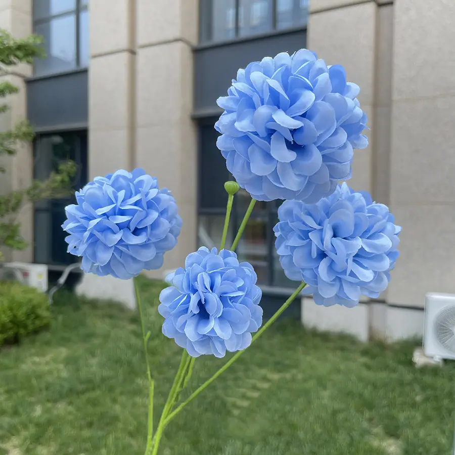 4头高枝芙蓉球-wxzjgx-天蓝.JPG