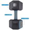 Equipamento de Halteres de Fitness Masculino e Feminino Doméstico Par de Halteres Hexagonais Adesivos Estudante Exercício Braço Perda de Peso Haltere