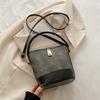 Nova bolsa feminina 2024 Explosions Bucket Bag Outono e inverno Nicho Design Crossbody Bag High-end Trabalho Pequena bolsa