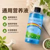 Solución nutriente vegetal altamente concentrada, adecuada para uso doméstico general, para cultivar flores, plantas verdes y plantas hidropónicas, y para proporcionar humedad a plantas como el árbol del dinero.