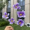 5 cabeças de flores cosmos Monet, flores artificiais, flores falsas para decoração de casamento e casa, atacado