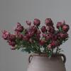 5 cabezas de rosa con borde quemado, flor artificial retro de seda, decoración de flores falsas, flores secas de imitación, ropa suave para el hogar, marchitar, secar, boda