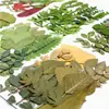 Flores Secas Plantas Artesanato para Jardim Adesivos Folhas Reais Coaster de Resina DIY Porta-Retrato Relevo 21 Peças