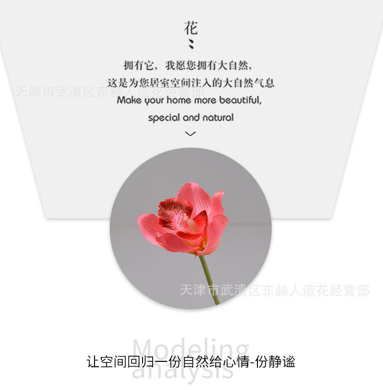 详情_05.png