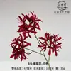 3 Cabeças de Lírios-aranha Artificiais, Manzhushahua (Flor do Inferno), Orquídeas do Vento, Flores Artificiais, Decoração Tradicional para Salão de Casamento, Flores Artificiais, Adereços de Fotografia