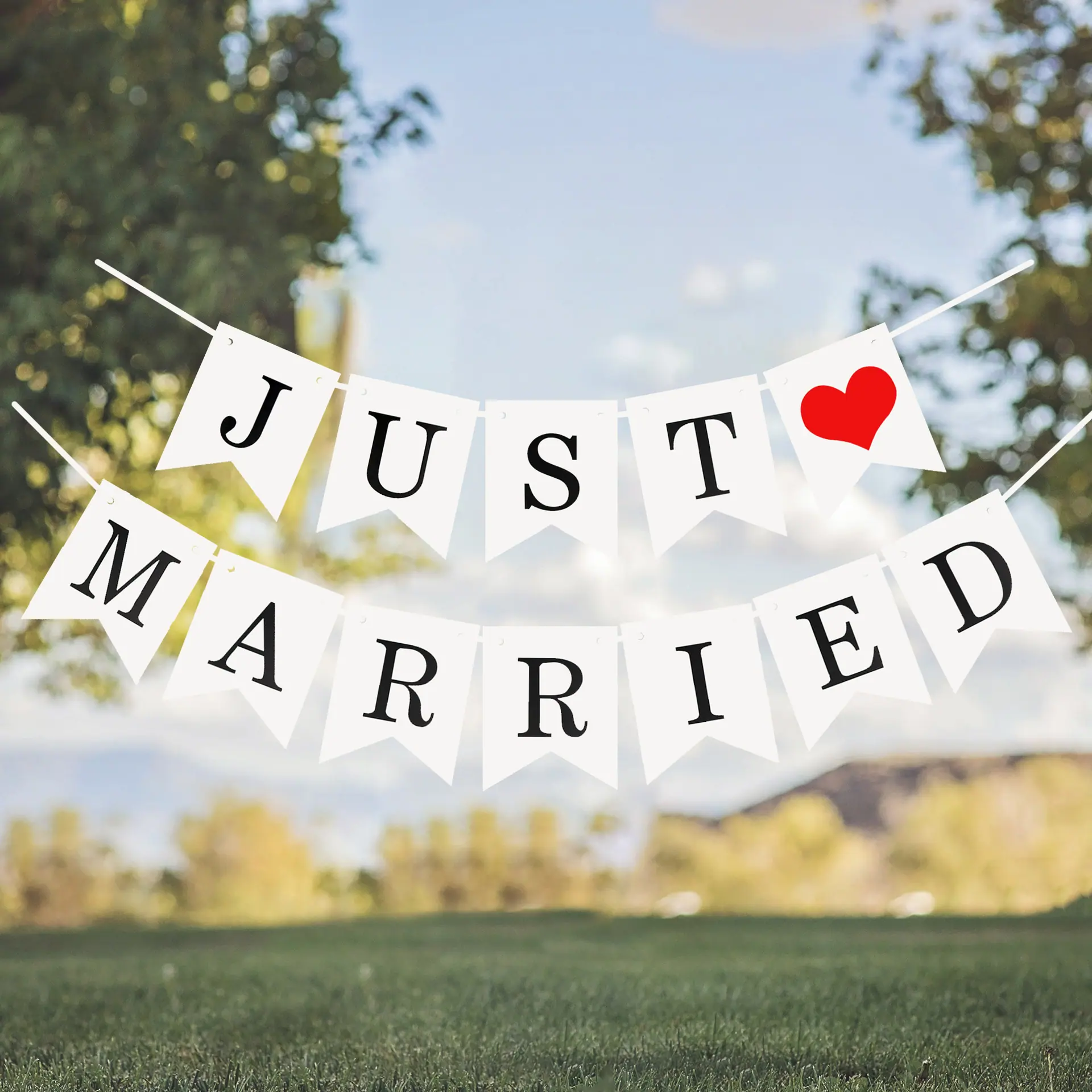 JUST MARRIED场景2.jpg
