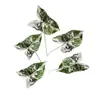 Hojas de Sagitaria de Cinco Hojas, Jardín de Plantas Verdes Nórdicas, Hojas de Sagitaria de Colores, Arreglo de Paisajismo Interior, Flores Artificiales, Venta al por Mayor desde el Fabricante