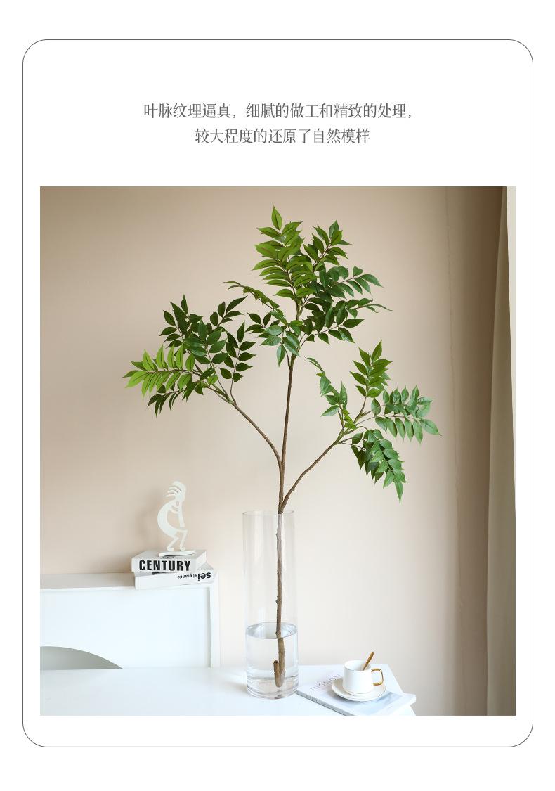 南天竹-漆木_11.jpg