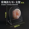 Modelo de ouvido silicone características faciais realistas material didático modelo display aparelho auditivo artificial orelha de prática limpeza de ouvido ensino adulto