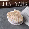Exquisito Clip de Pinza de Ácido Acético con Forma de Concha Pinza para el Cabello de Alta Gama Pinza Tiburón para la Parte Trasera del Cabello Pinza de Concha para el Cabello Accesorios para el Cabello para Mujeres
