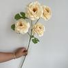 En stock, nueva flor de simulación de 4 cabezas, peonía Luoshen, arreglo floral decorativo alto para techo de auditorio de bodas, jarrón de flores