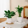 Maceta para plantas de escritorio de riego automático para personas perezosas, engrosada, anticaída, planta verde, árbol de la fortuna, lirio de la paz, recipiente de plástico hidropónico, maceta de rayas horizontales