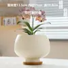 Maceta de Cerámica Simple para Uso Doméstico con Plato, Venta al por Mayor Transfronteriza Temu, Específicamente para Orquídeas Phalaenopsis y Plantas Suculentas