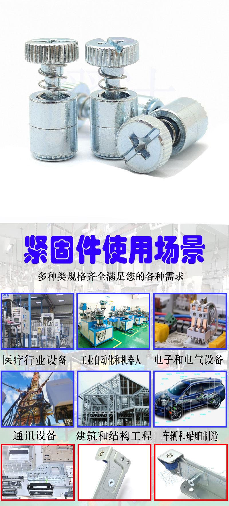 弹簧螺钉52-19-51-4_02.jpg