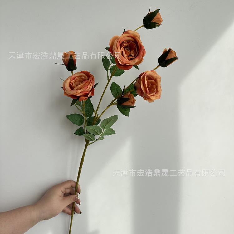 微信图片_202303091822232_副本