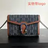 Suministro Transfronterizo Nuevo Clásico Bolso de Cadena Doble Gwoc Presbiópico Dionysus de un Solo Hombro Diagonal para Mujer con Logo