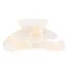 Novo Estilo Coreano Prendedor de Rabo de Cavalo Acessórios de Cabelo Celebridade da Internet Pinça Versátil de Ácido Acético Feminina Garra de Cabelo Elegante de Comércio Exterior da Amazon