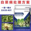 Fertilizante Foliar Soluble en Agua de Col Mejora el Suelo, Promueve el Crecimiento, Acelera la Formación del Corazón y Es un Agente Microbiano General para Verduras y Frutas