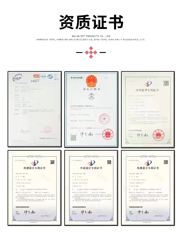 微信图片_20240731140638