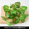 Planta Verde Artificial Decorativa em Vaso Folha Persa Flor de Plástico Casa Interior Grama Falsa Verde Planta Decorativa Bonsai