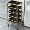 Carrito de Herramientas para Peluquería Reforzado Carrito de Belleza Carrito Pequeño Peluquería Salón de Belleza Carrito Carrito de Peluquería Almacenamiento