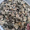 Materiales de Juego de Cáscara de Fruta Natural Carrillón de Viento Cáscara de Fruta Sonajero Material de Vid de Calabaza Muñeca de Cáscara de Fruta Paquete de Materiales de Cáscara de Fruta para Bricolaje
