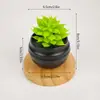Amazon Más Vendido Maceta de Plástico Maceta Simulada de Suculenta Combinación Creativa Pequeña Fresca Escritorio Oficina Plantas Verdes