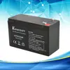 Batería de Plomo-Ácido Sin Mantenimiento para Control de Acceso de Seguridad, Audio, Solar, Gel 12V7Ah20Hr 24V110Ah