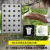 Cultivo Symbiótico de Verduras, Balsas Flotantes para Peces y Verduras, Tableros Hidropónicos, Cultivo sin Suelo de Arroz, Invernadero Hidropónico, Cultivo de Verduras Flotantes